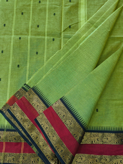 Kanchi Cotton - Festival Fusion-Lime green- KCFB263