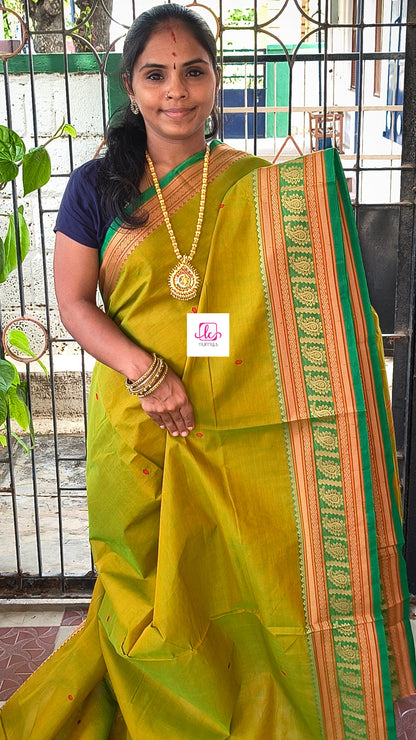 Chettinad Cotton -  Office Wear -Green mixed yellow dual tone- CCOW97